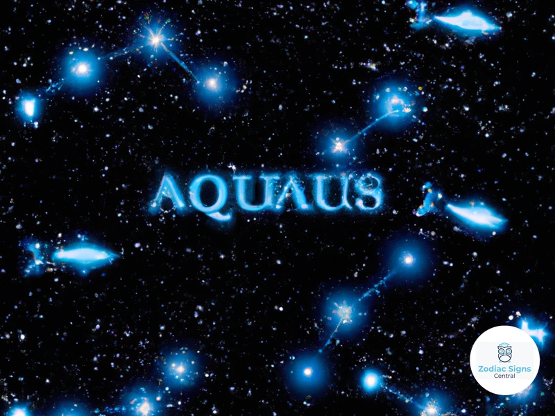 Aquarius And Friendship